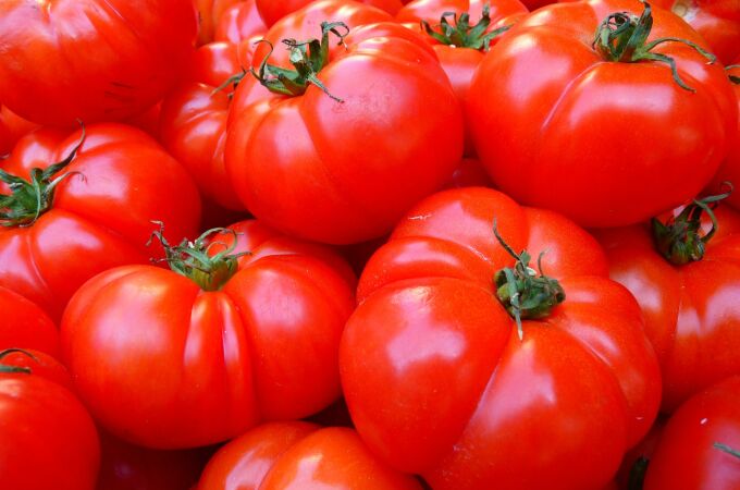 La proteina que ayudo a aumentar cien veces el tamano de los tomates