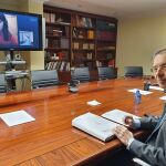 El consejero de Empleo e Industria, Germán Barrios, durante la vídeoconferencia con representantes del colectivo autónomo