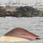 Imagen del pesquero hundido en Punta Umbría.