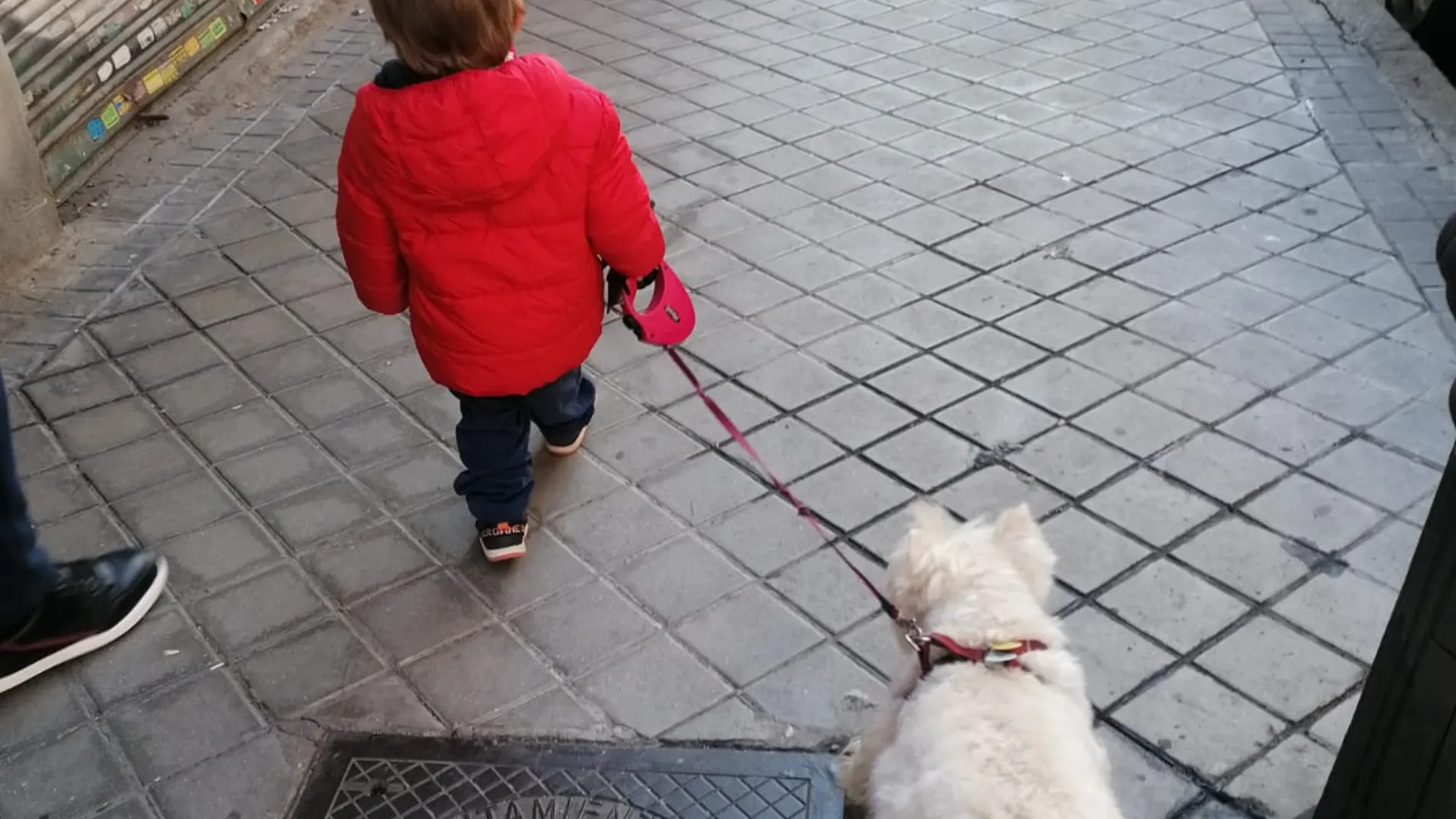 Un niño pequeño pasea una mascota durante el estado de alarma / LA RAZÓN