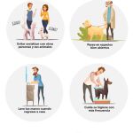 Durante los días de confinamiento decretados, una de las excepciones es la de pasear a las mascotas, y es que ellos necesitan jugar y disfrutar del aire libre. Por ello, se recomienda seguir una serie de medidas excepcionales.
