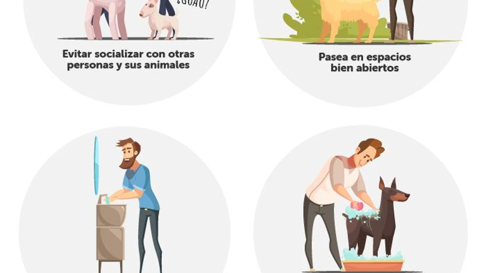 Durante los días de confinamiento decretados, una de las excepciones es la de pasear a las mascotas, y es que ellos necesitan jugar y disfrutar del aire libre. Por ello, se recomienda seguir una serie de medidas excepcionales.