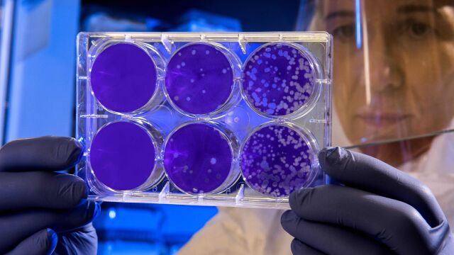 El sector financiero, un aliado más en la lucha contra el coronavirus