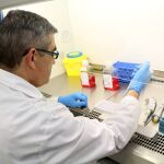 Investigadores de la Universidad de Burgos