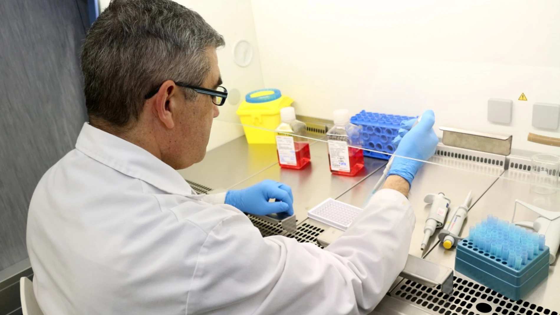 Investigadores de la Universidad de Burgos