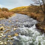 La Conferencia Hidrográfica del Duero celebra el Día del Agua