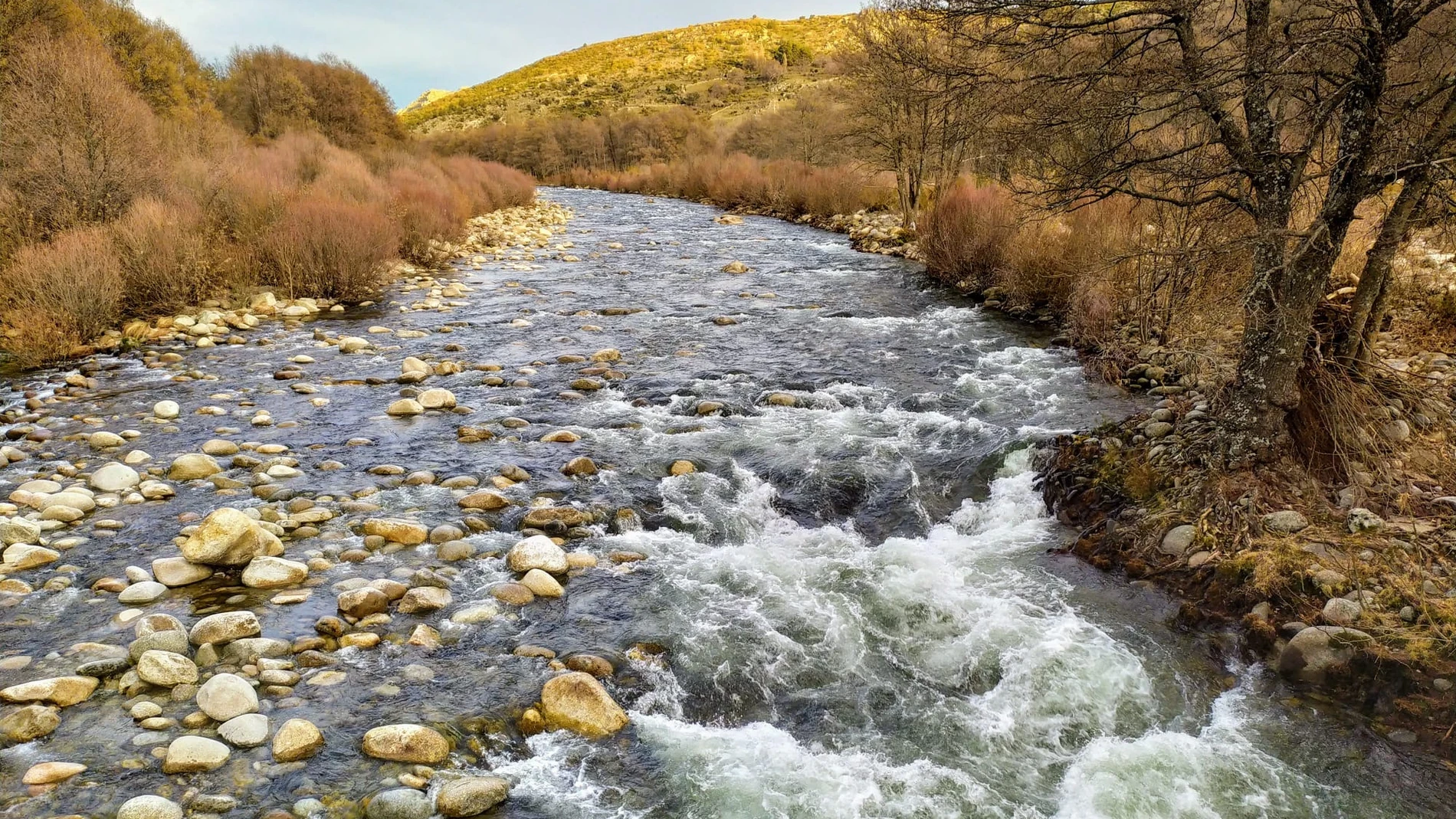 La Conferencia Hidrográfica del Duero celebra el Día del Agua