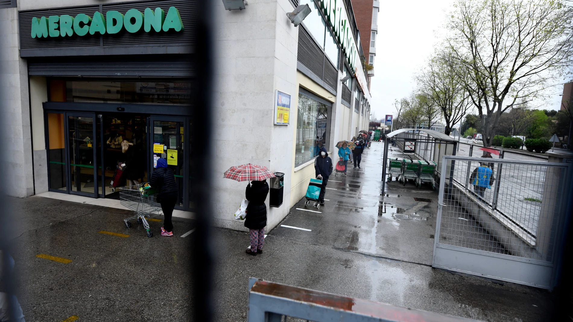 Largas colas para comprar en los establecimientos que no ha cerrado el Gobierno