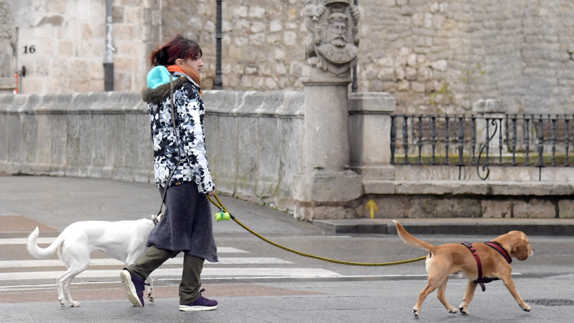 Una vecina pasea a sus dos perros en Burgos