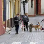 Gente paseando a sus mascotas por Sevilla durante el confinamiento