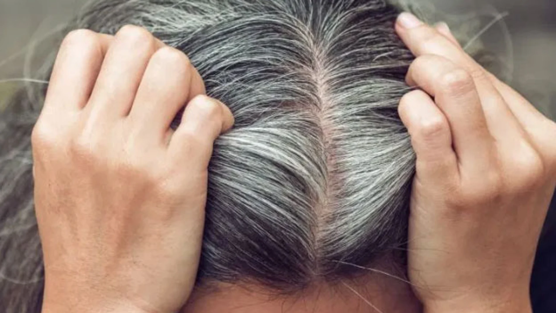 Cómo prevenir y retrasar las canas