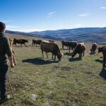 Explotación ganadera de la provincia de Soria
