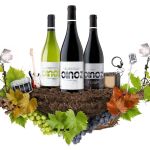Nace el proyecto Oinoz Wine Sounds