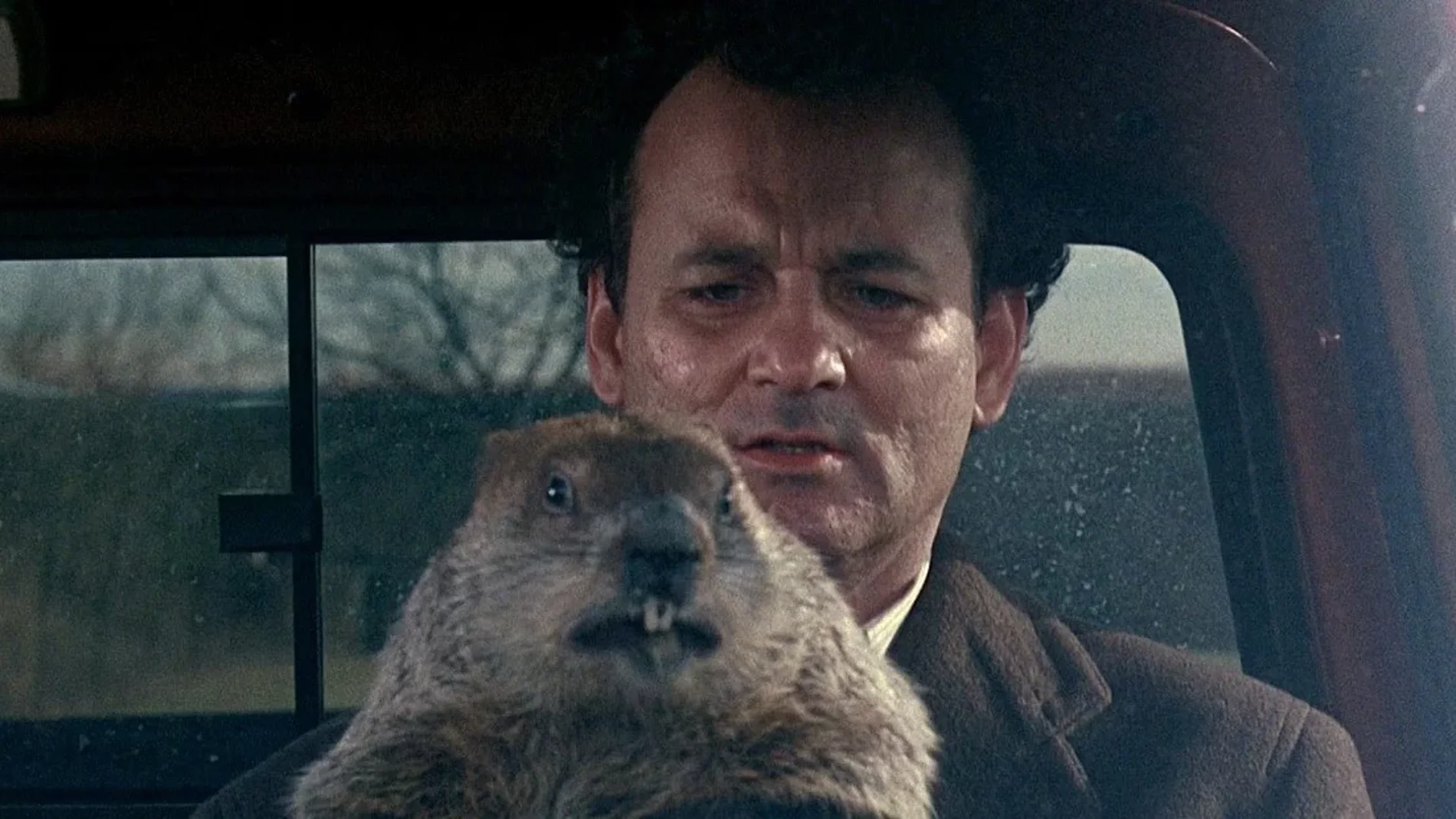 Fotograma de la película 'El día de la marmota'.