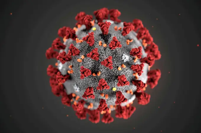 Lo que sabemos y no sabemos del coronavirus