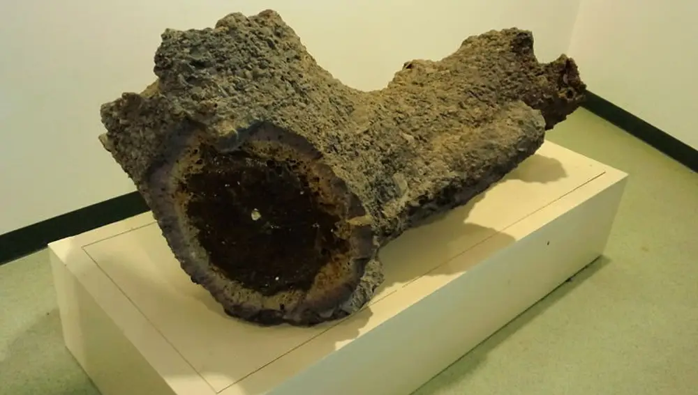 Sección de una de las fulguritas más gruesas encontradas (Museo de Ciencia Local de Iwamizawa)