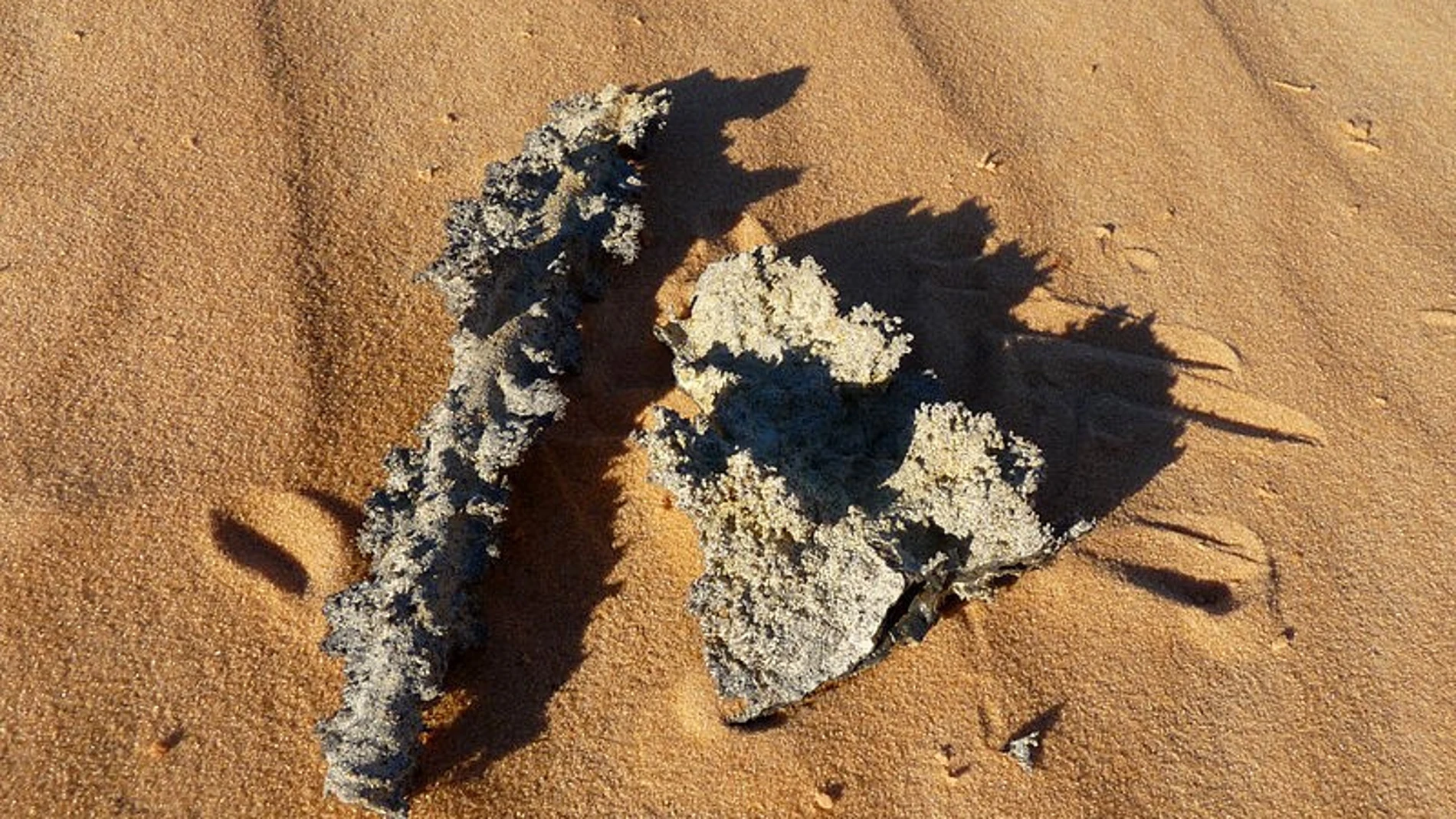 Fulgurita encontrada en el desierto de Mauiritania