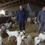El consejero de Agricultura, Ganadería y Desarrollo Rural, Jesús Julio Carnero, durante una visita a una explotación de ganado ovino en Zamora