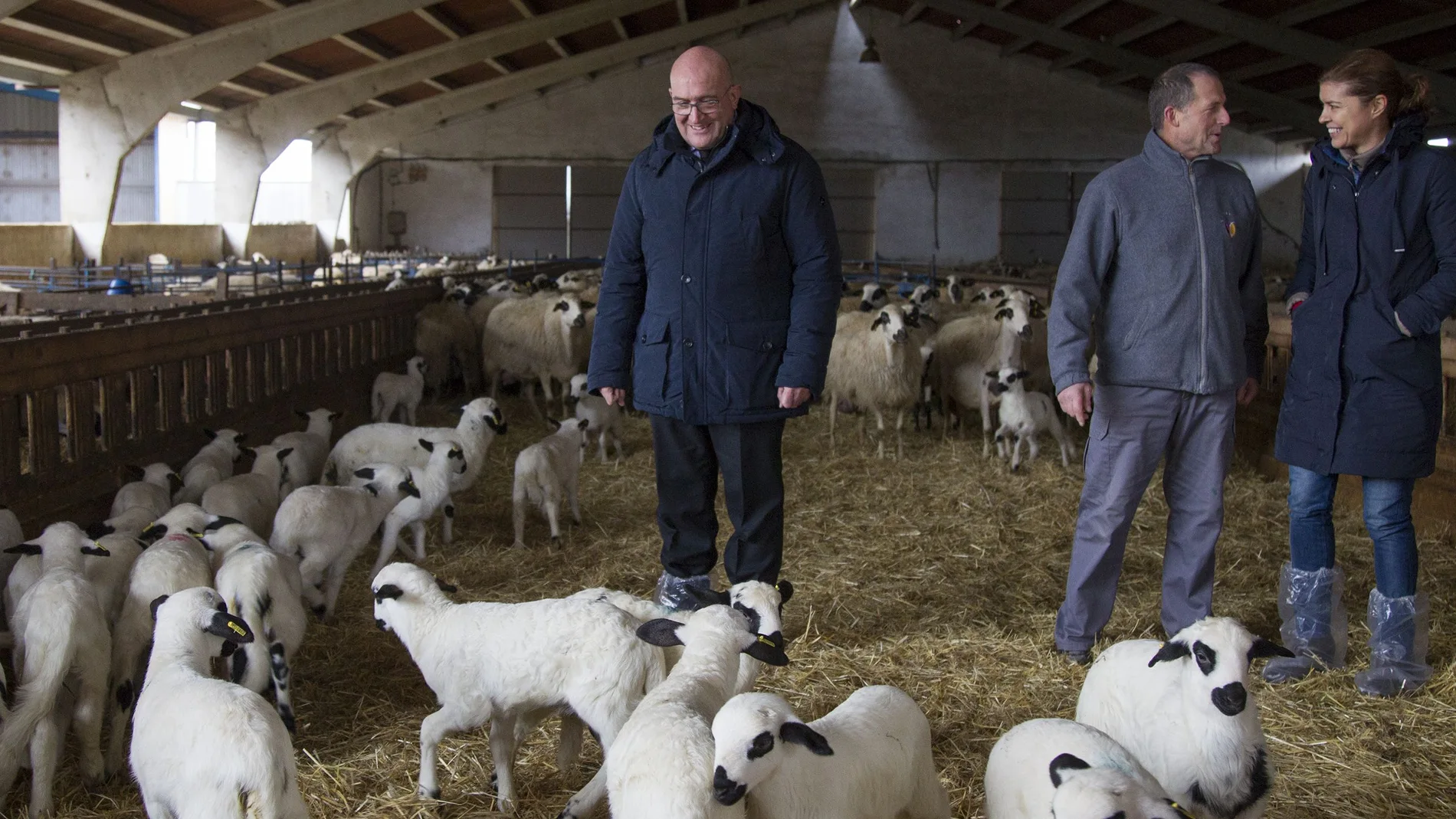 El consejero de Agricultura, Ganadería y Desarrollo Rural, Jesús Julio Carnero, durante una visita a una explotación de ganado ovino en Zamora