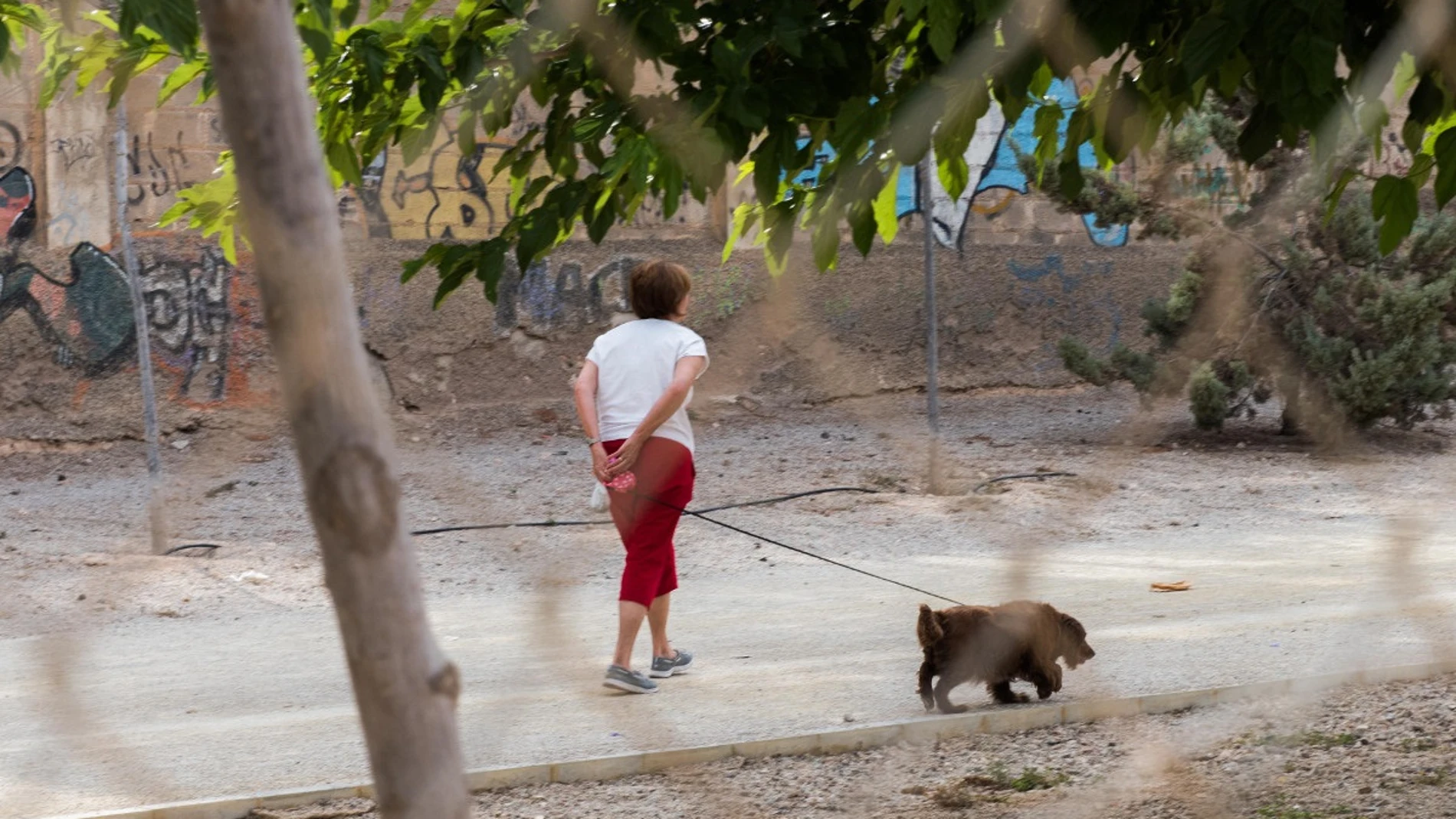 Coronavirus.- Policía Local de Cartagena intensificará el control sobre las personas que sacan a pasear a sus perros