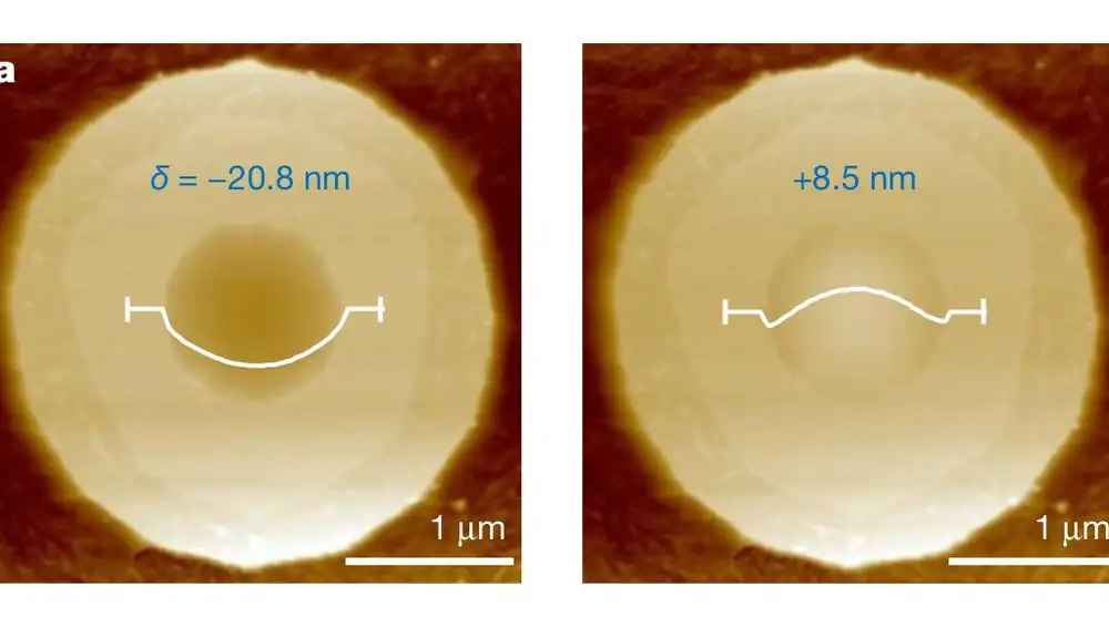 Un ejemplo de qué les ocurrió a los nanoglobos sometidos a hidrógeno. Las curvas representan el perfil de la lámina de grafeno, medido mediante microscopio de fuerza atómica. A la izquierda tenemos el estado inicial del nanoglobo, en el que vemos que la lámina “cuelga” hacia el interior del contenedor. A la derecha vemos el mismo nanoglobo sólo tres días después: la lámina ahora no cuelga, sino que sobresale. El nanoglobo se ha hinchado porque el hidrógeno ha logrado entrar.