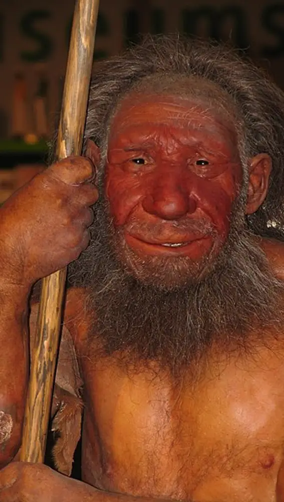 Reconstrucción de un neandertal en el Neanderthal Museum