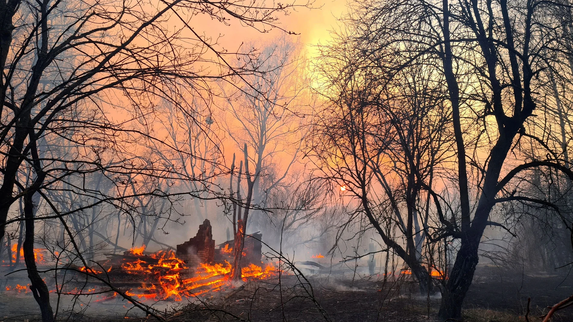 A fire burns in the exclusion zone around the Chernobyl nuclear power plant