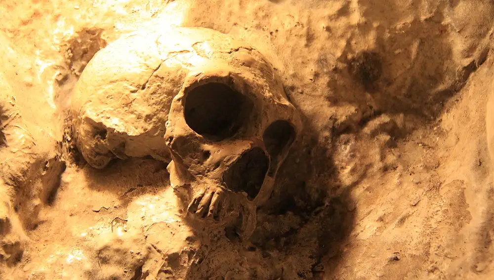 Reconstrucción del cráneo de Gibraltar 1, en el St. Michaels Cave museum, Gibraltar.