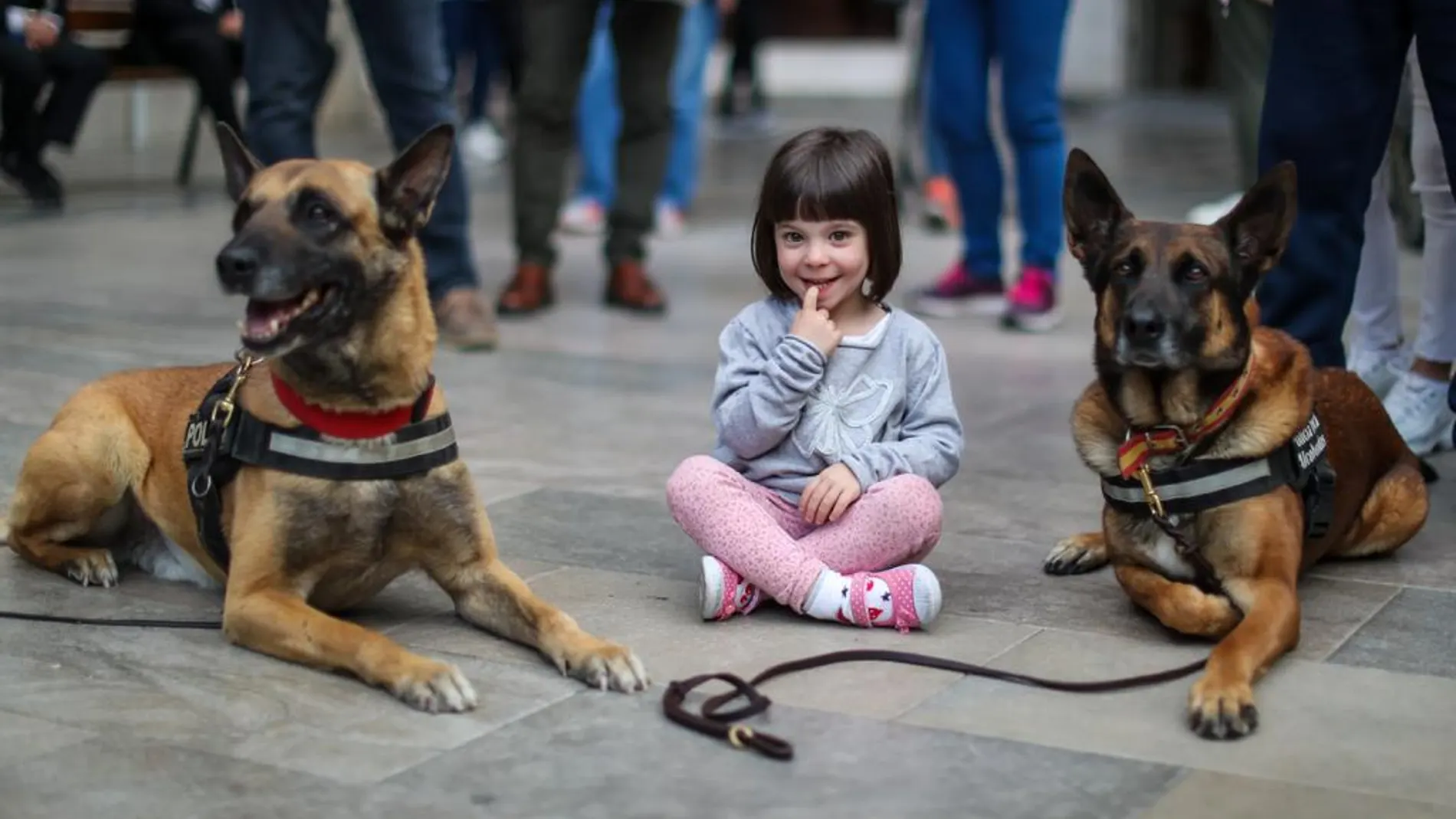 Dos perros policía junto a una niña durante una exhibición antes del estado de alarma