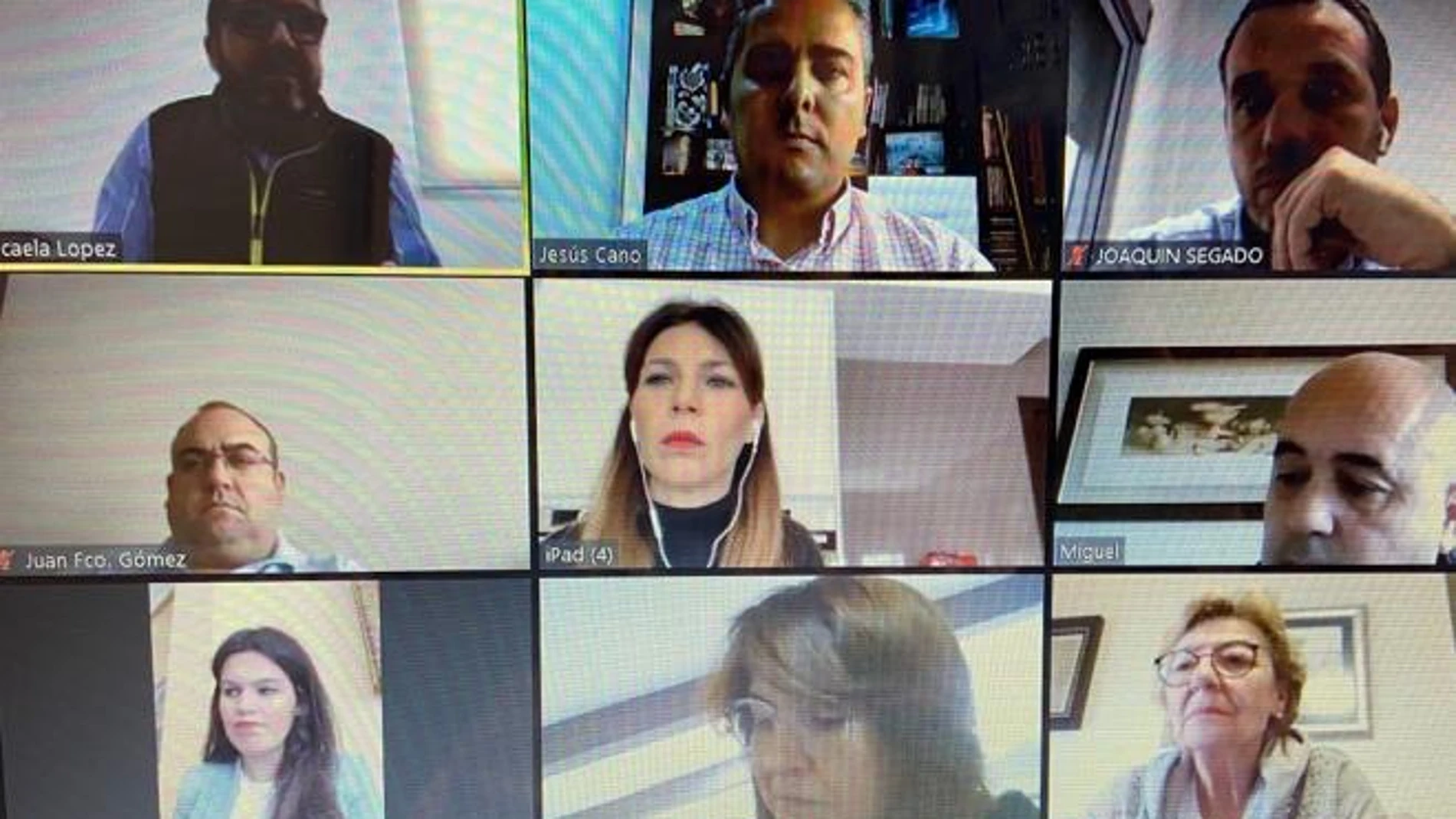 Videoconferencia de los diputados del PP con los presidentes de las cámaras de comercio de Murcia, Cartagena y Lorca