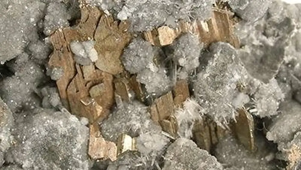 Una muestra de cristales de calaverita, un mineral que adopta un color amarillento similar al del bronce.