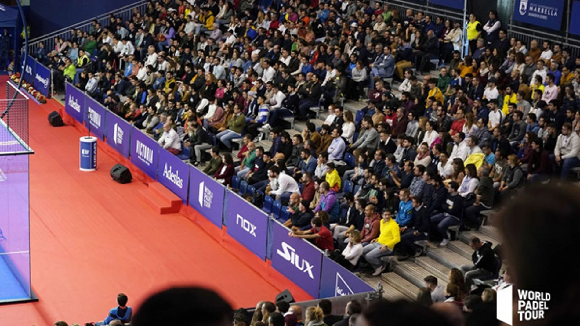 Encuesta vuelta a la competición