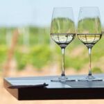 Ruta del Vino de Rueda