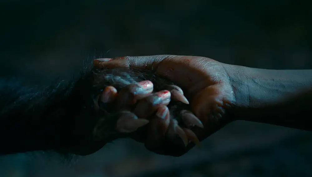 Fotograma de "Las buenas maneras"