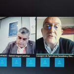 Videoconferencia del consejero Jesús Julio Carnero con los canales de producción y las organizaciones agrarias