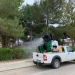 Tareas de desinsectación para prevenir la plaga de mosquitos