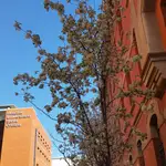 Imagen de los dos edificios del Hospital Santa Cristina de MadridHOSPITAL SANTA CRISTINA DE MADRI17/04/2020