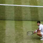 Djokovic, tras su triunfo en Wimbledon la pasada temporada