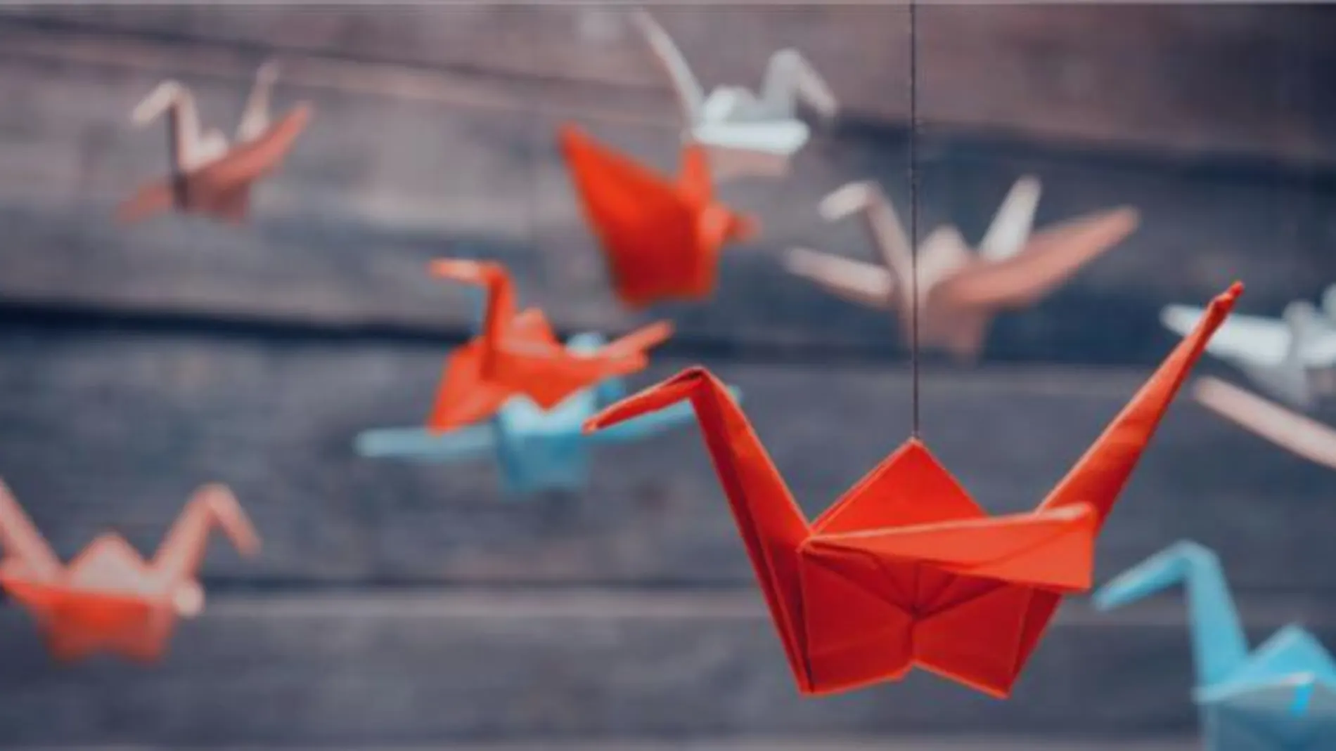 Viaja a Japón a través del origami.