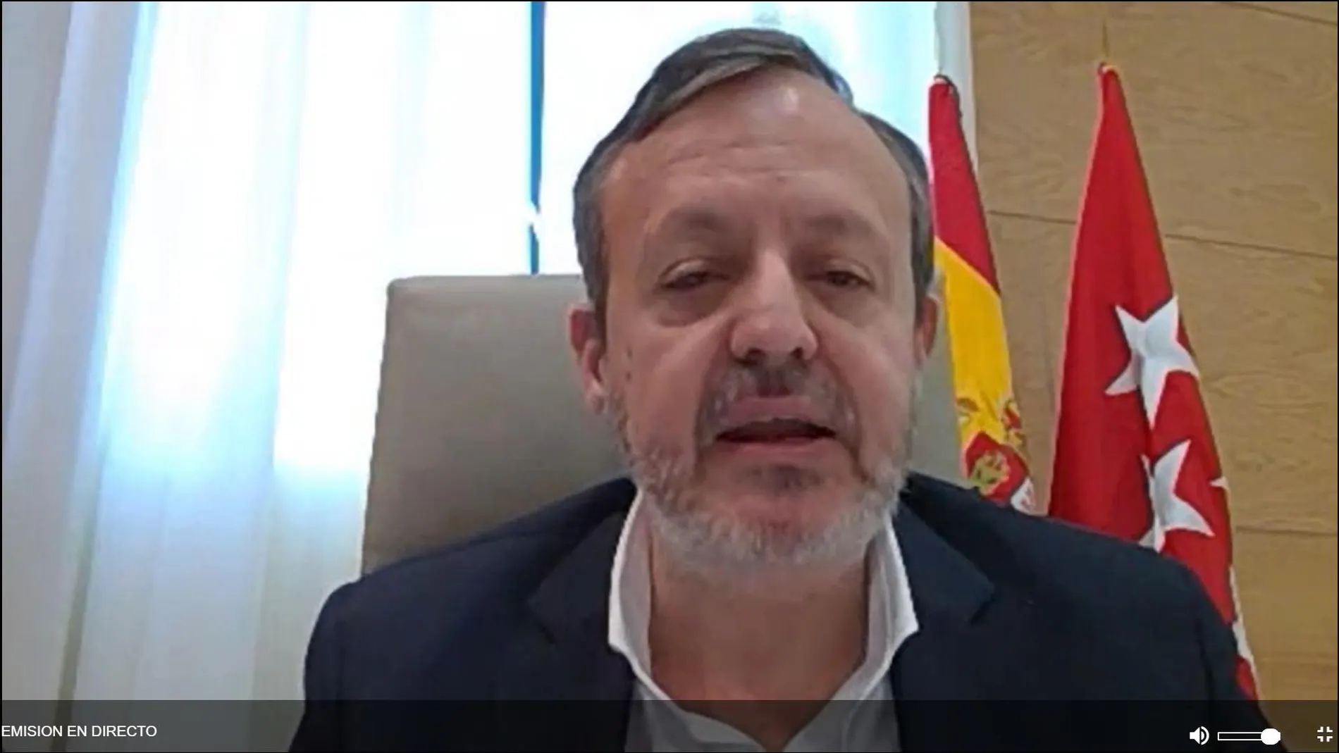 Alberto Reyero, durante su comparecencia telemática esta mañana