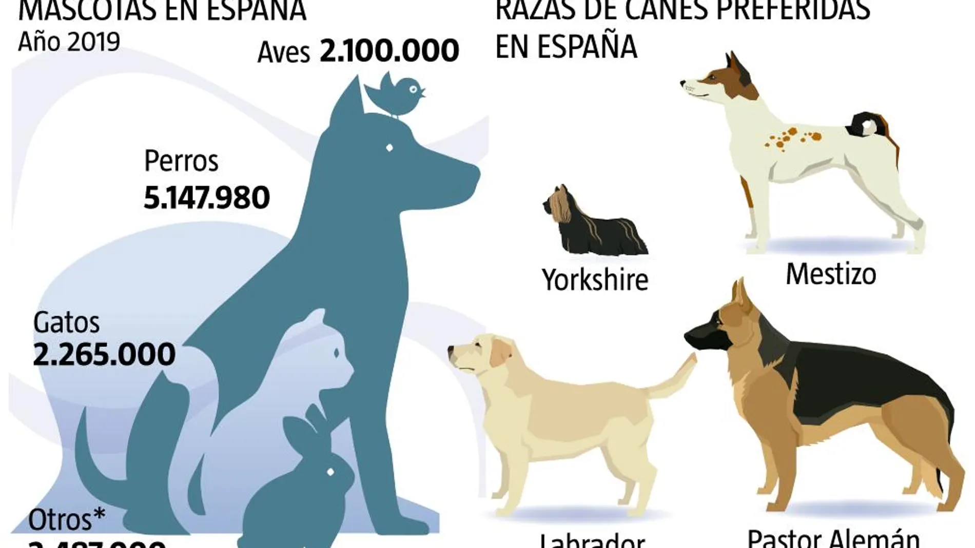 Mascotas en España