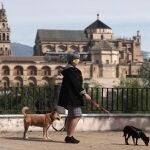 Una mujer pasea a sus perros junto al río frente a la Mezquita-Catedral de Córdoba durante la pandemia