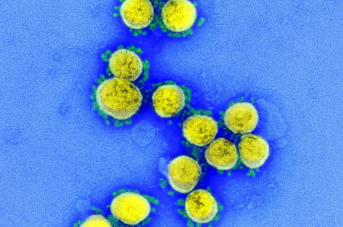 ¿Un nuevo coronavirus aún más contagioso?