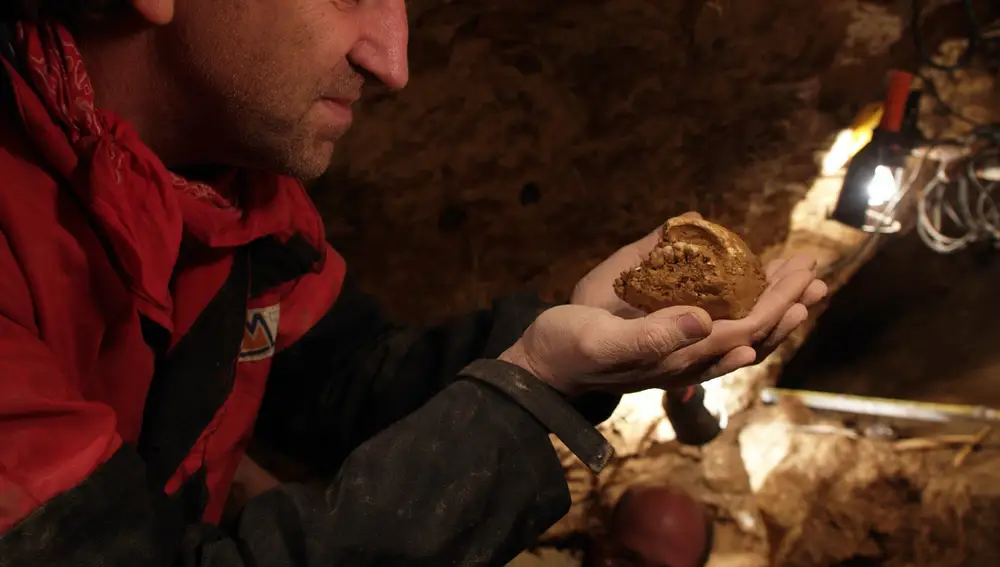 Professor Juan Luis Arsuaga examines an artefact in this undated handout picture taken at the Sima de los Huesos site in Sierra de Atapuerca, Spain.