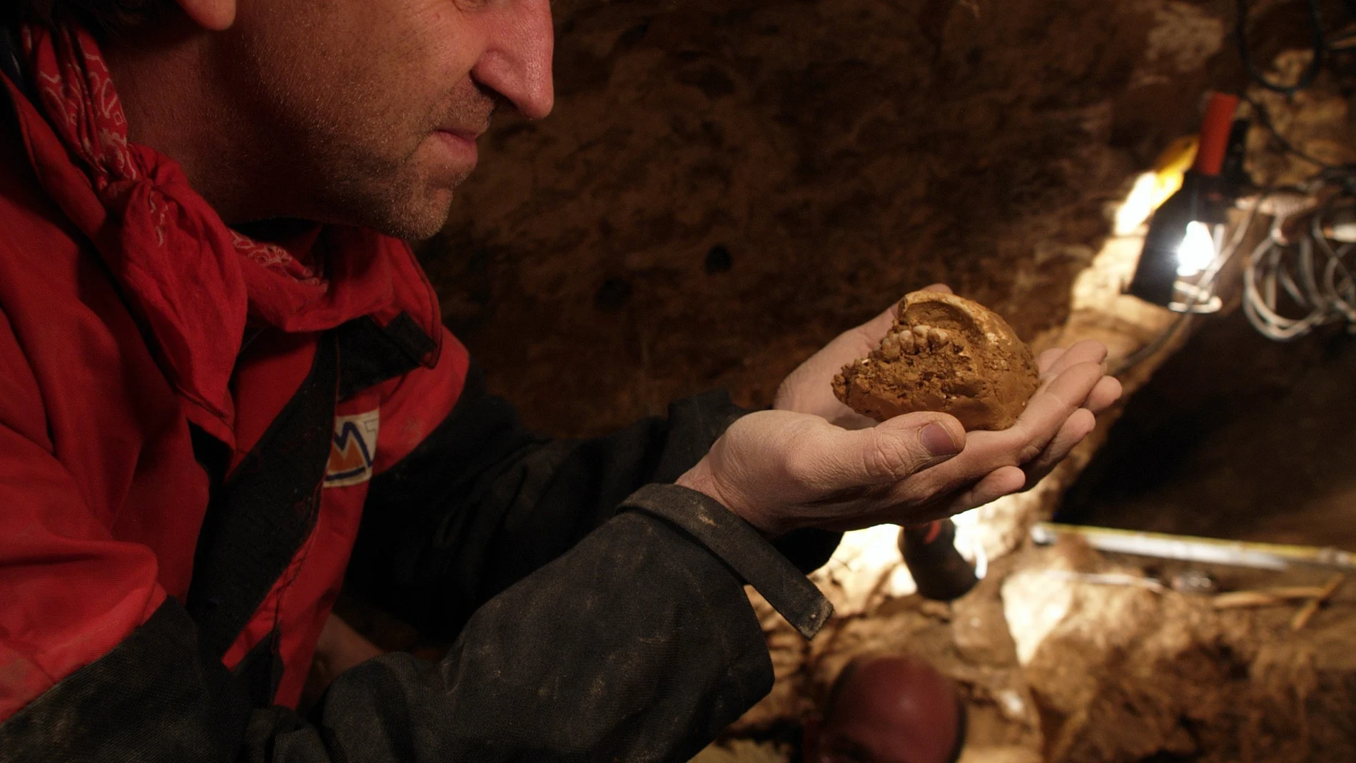 Professor Juan Luis Arsuaga examines an artefact in this undated handout picture taken at the Sima de los Huesos site in Sierra de Atapuerca, Spain.