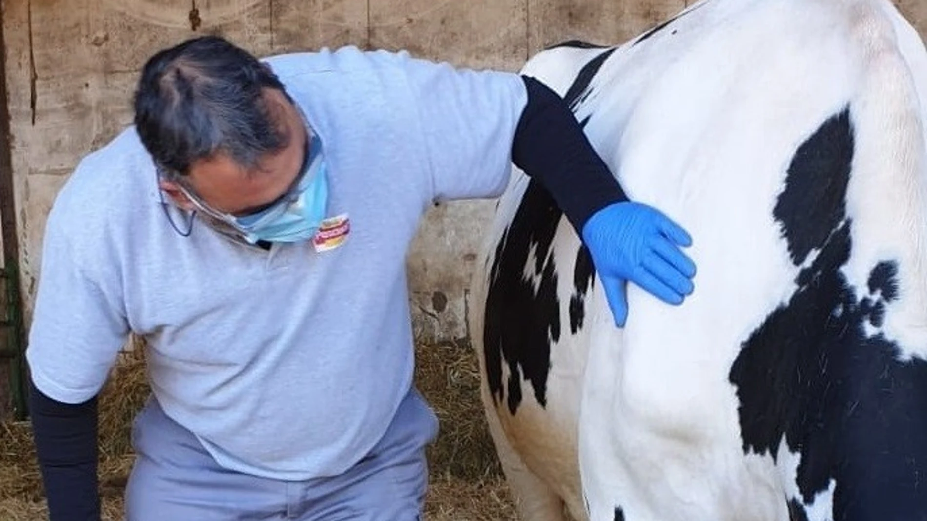 Ganaderos de Calidad Pascual