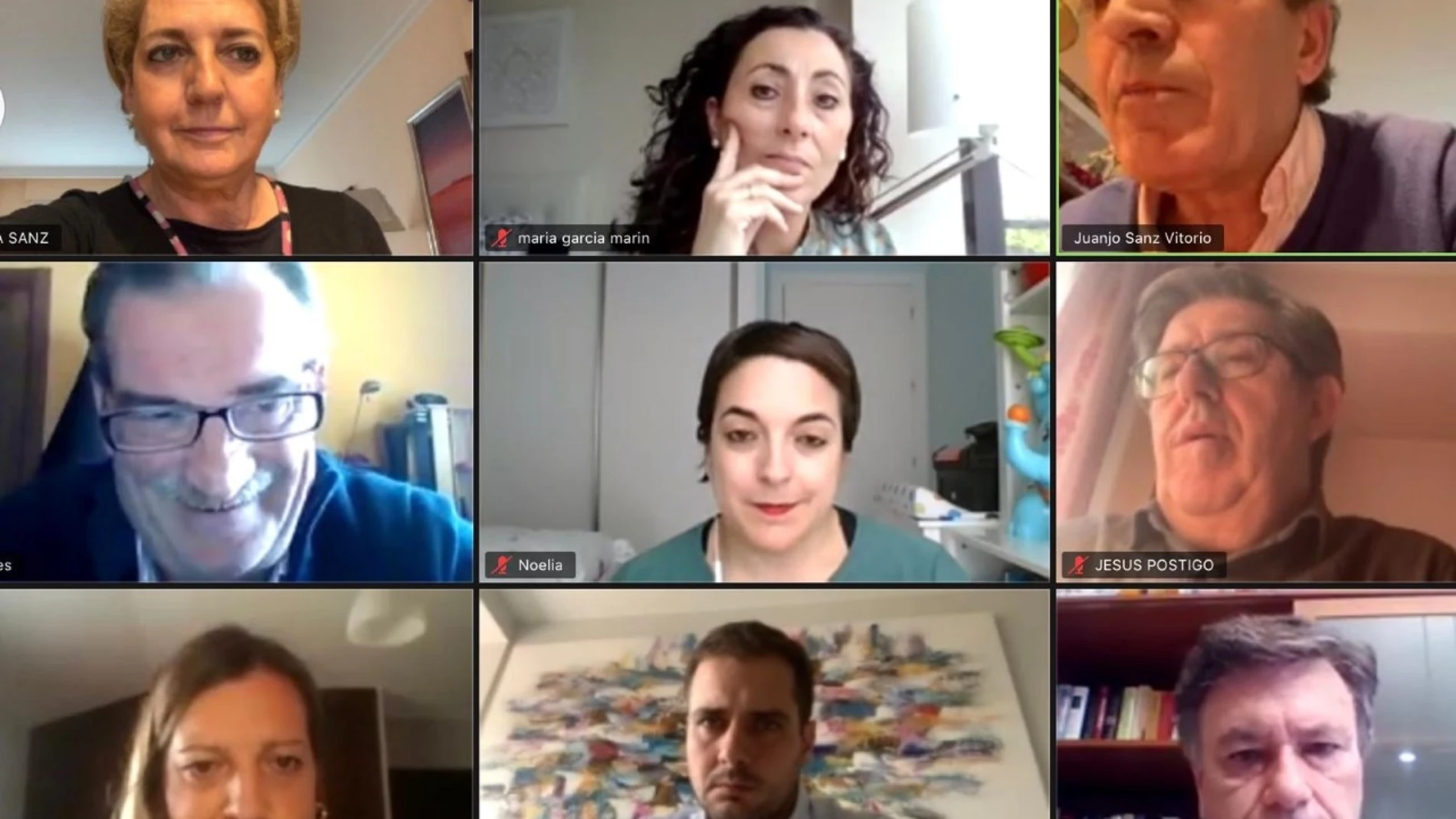 Reunión telemática de los dirigentes del PP de Segovia con comerciantes y hosteleros