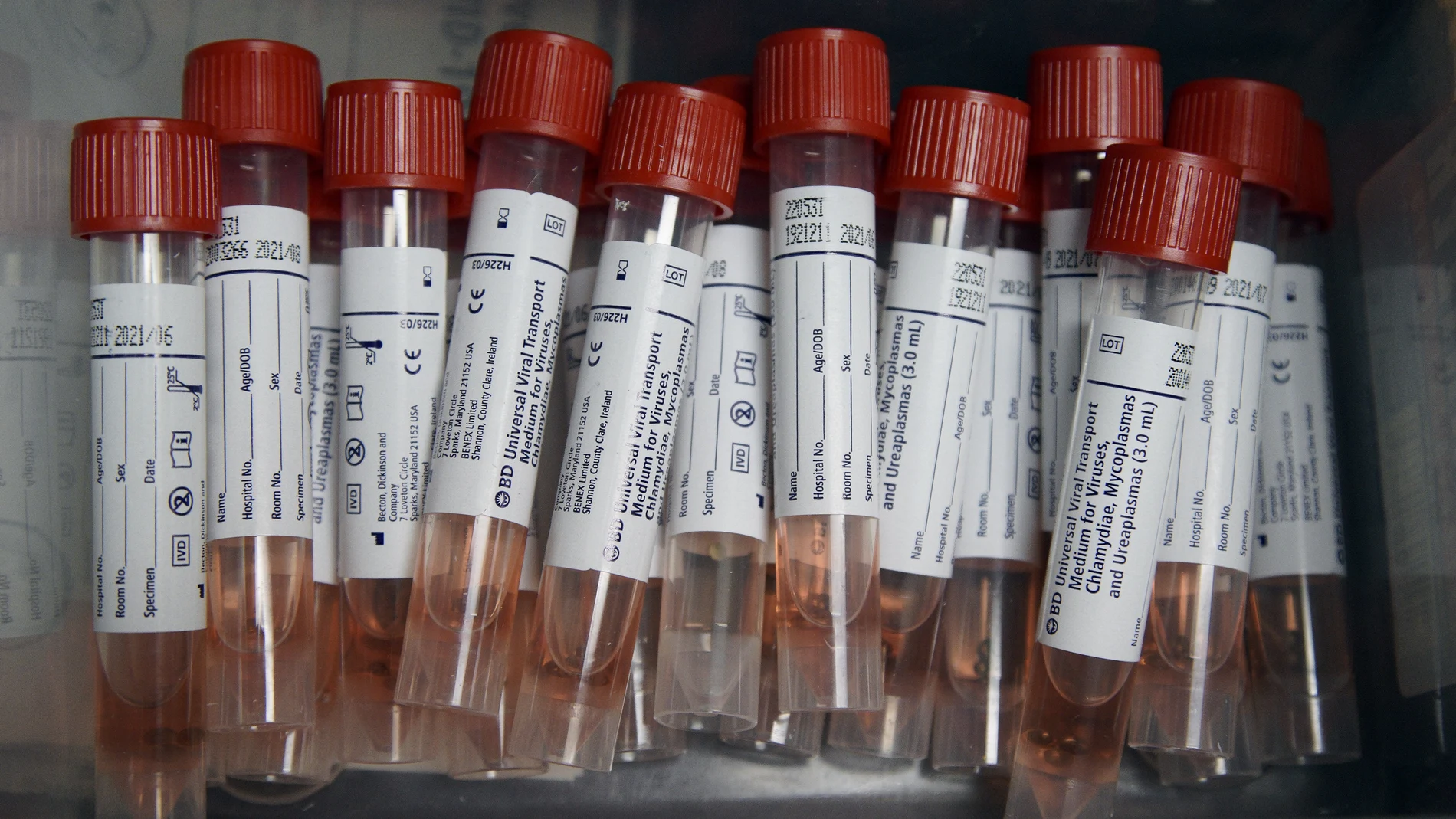 El Ayuntamiento realizará PCR al ser más fiable que el test rápido