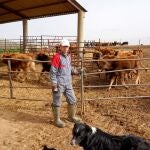Florencio Escarda, ganadero y presidente de la junta agropecuaria de Villanueva del Campo (Zamora), trabajando durante el estado de alarma