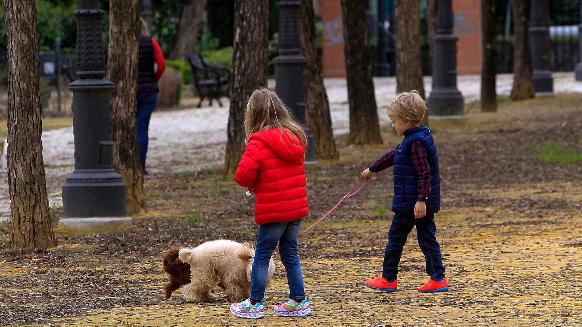 Dos niños pasean a sendos perros por un parque sevillano